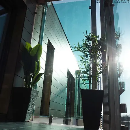 Sunflowers Apartament Leo Grey W Kolobrzegu Kołobrzeg